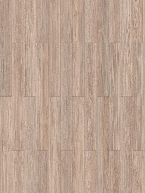 COSTAL BLACKBUTT