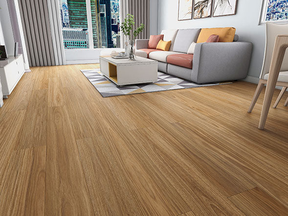 NSW SPOTTED GUM
