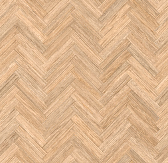 COSTAL BLACKBUTT