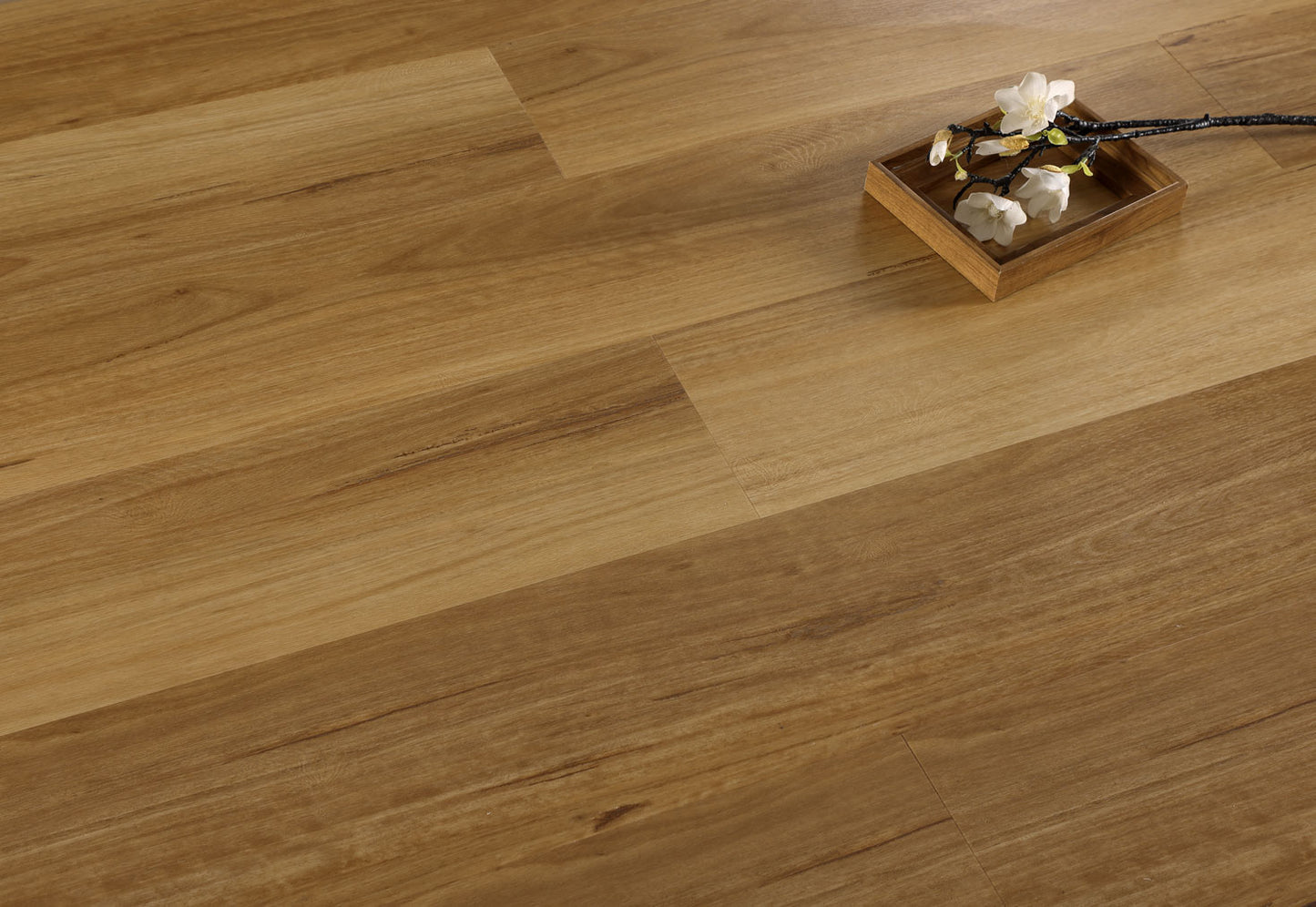 COSTAL BLACKBUTT