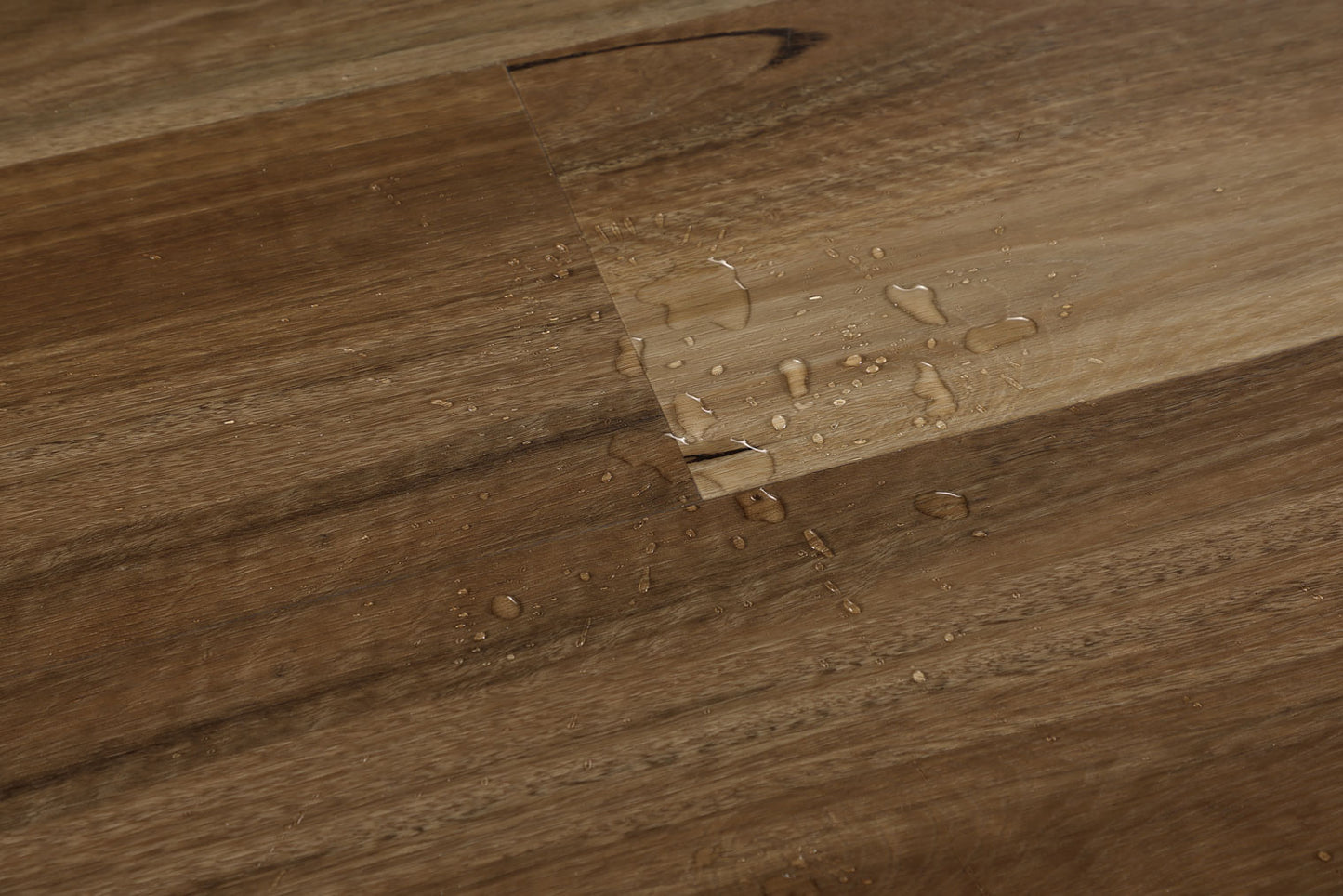 QUEENSLAND SPOTTED GUM