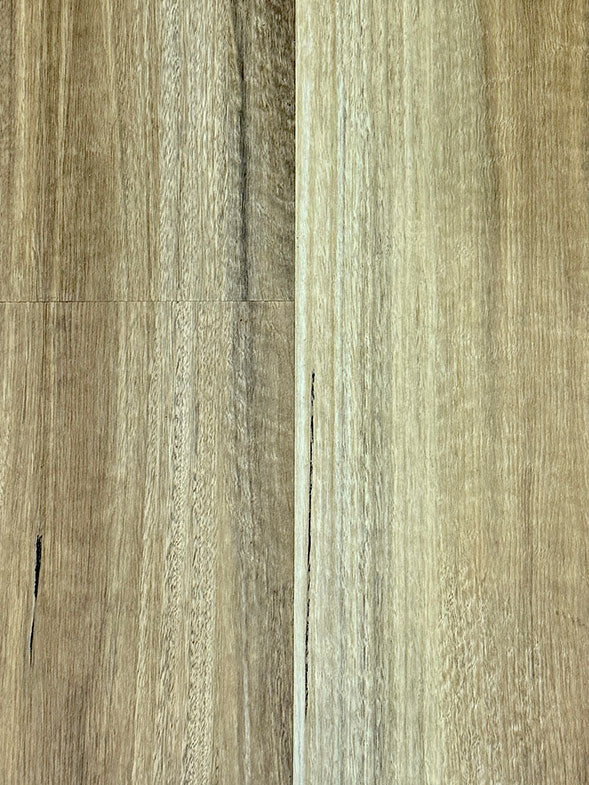 SPOTTED GUM