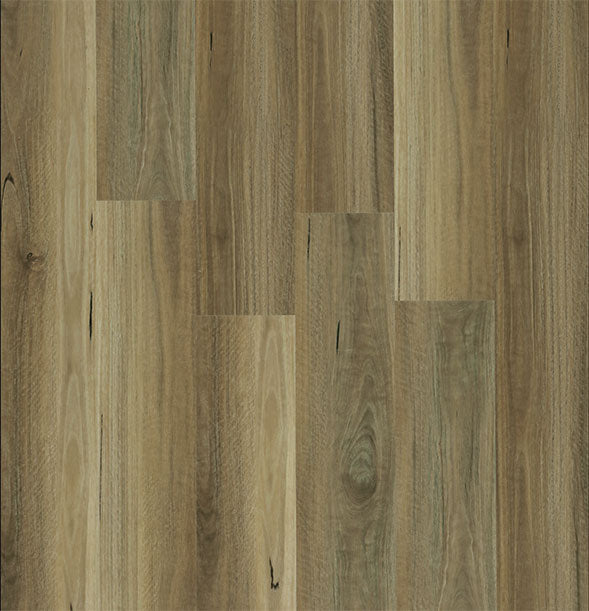 SPOTTED GUM
