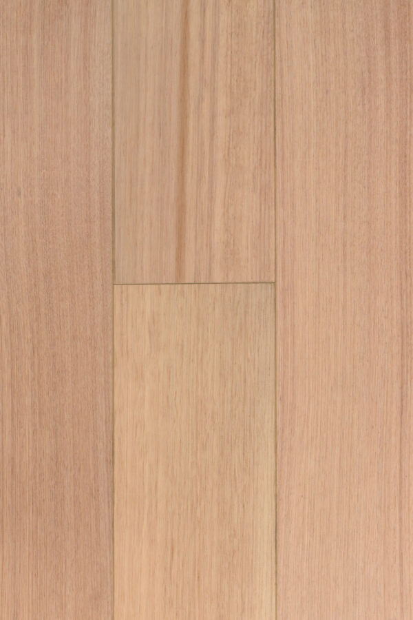 Tas Oak
