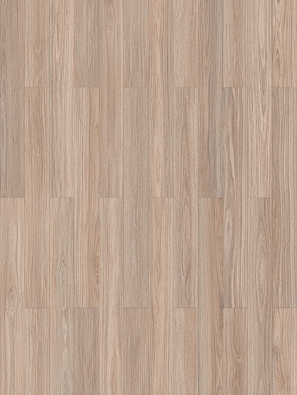 COSTAL BLACKBUTT