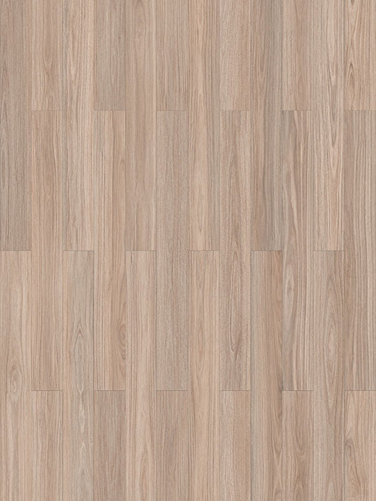 COSTAL BLACKBUTT