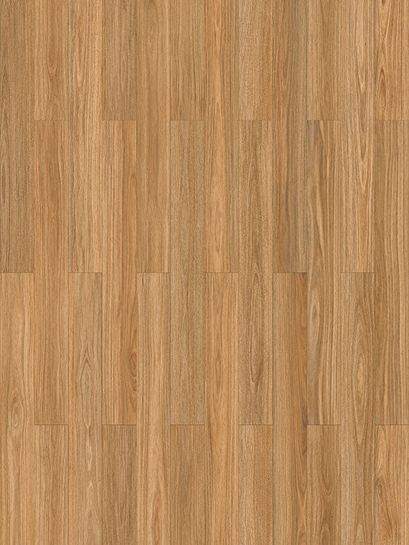 NSW SPOTTED GUM