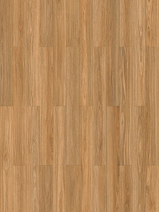 NSW SPOTTED GUM