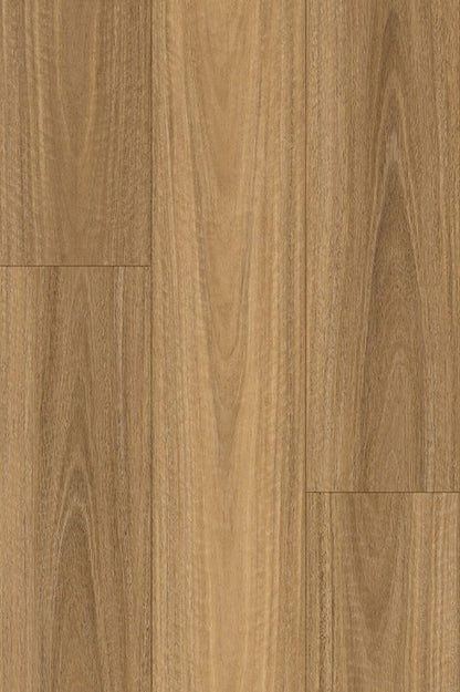 NSW Spotted Gum Plus
