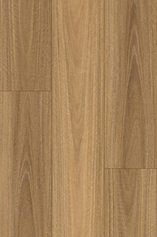 NSW Spotted Gum Plus