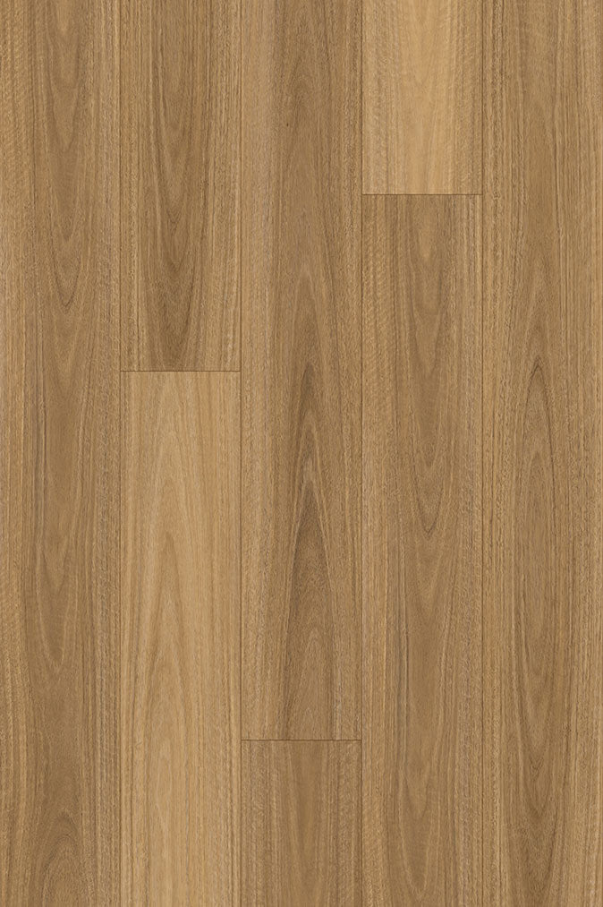 NSW Spotted Gum Plus