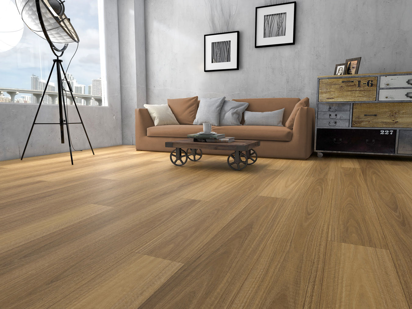 NSW Spotted Gum Plus