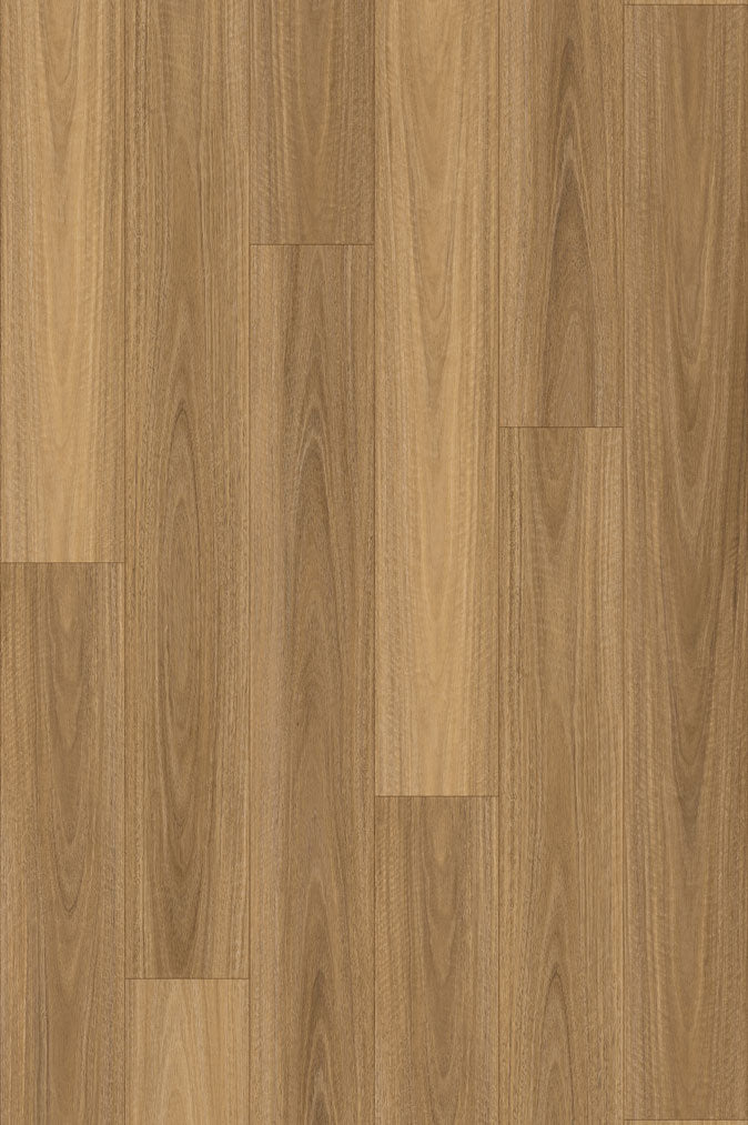 NSW Spotted Gum Plus