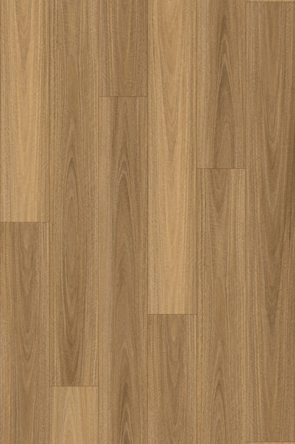NSW Spotted Gum Plus