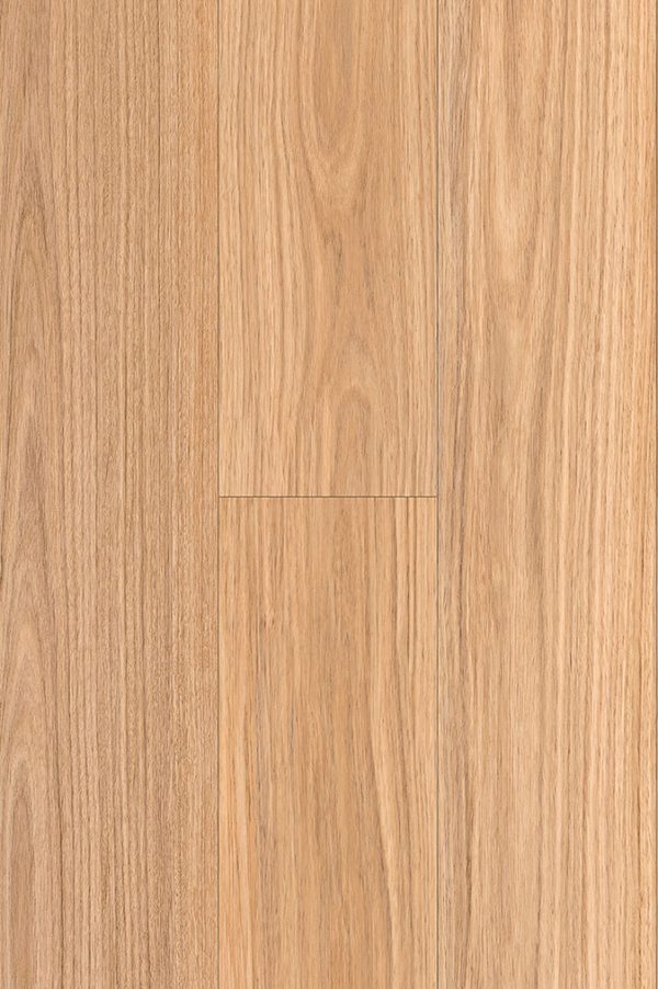 NSW Blackbutt PLUS