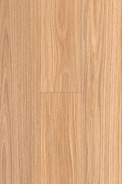 NSW Blackbutt PLUS