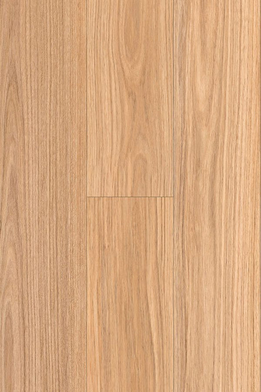 NSW Blackbutt PLUS