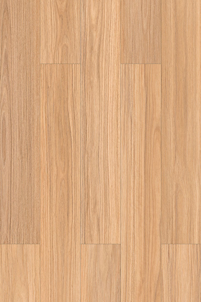 NSW Blackbutt PLUS