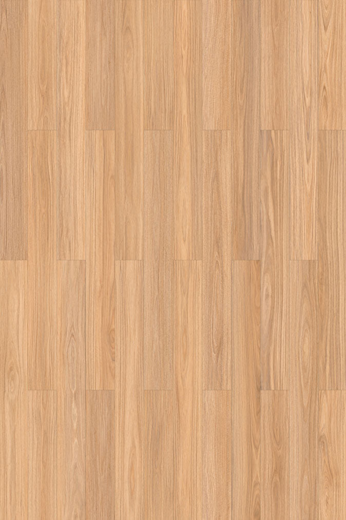 NSW Blackbutt PLUS