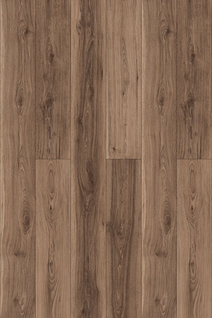 American Walnut PLUS