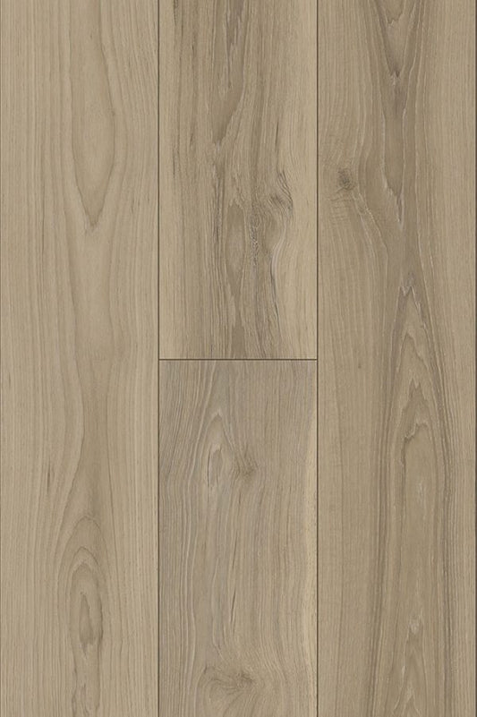 Hickory Gray PLUS