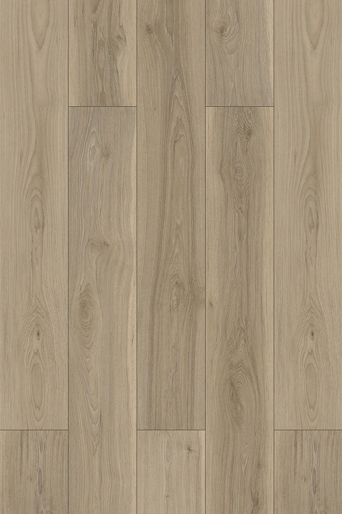 Hickory Gray PLUS