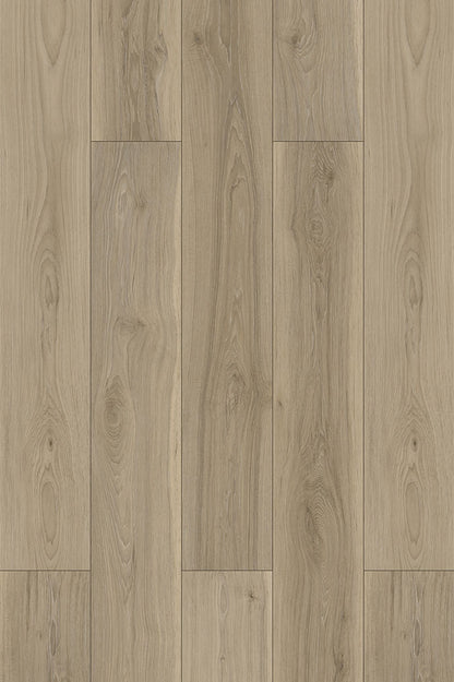 Hickory Gray PLUS