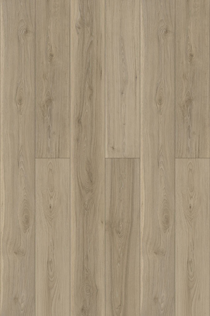 Hickory Gray PLUS