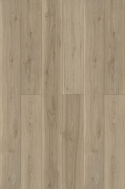Hickory Gray PLUS