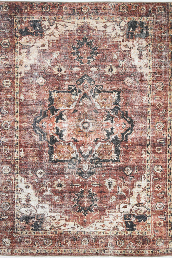 Distressed Vintage Cezanne Terracotta Area Rug - VITAL 2244-01