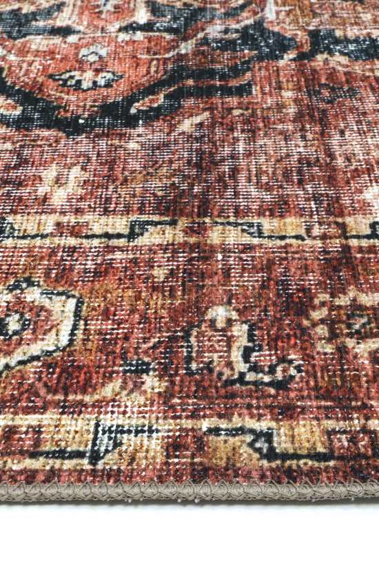 Distressed Vintage Cezanne Terracotta Area Rug - VITAL 2244-01