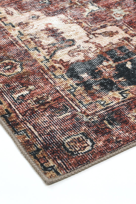 Distressed Vintage Cezanne Terracotta Area Rug - VITAL 2244-01