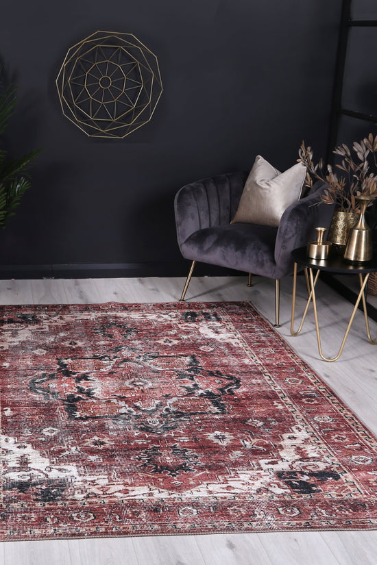 Distressed Vintage Cezanne Terracotta Area Rug - VITAL 2244-01