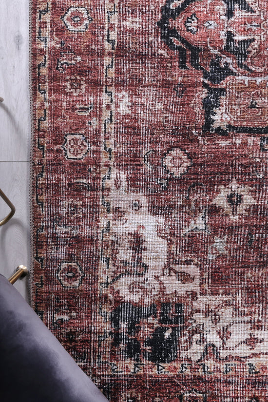 Distressed Vintage Cezanne Terracotta Area Rug - VITAL 2244-01