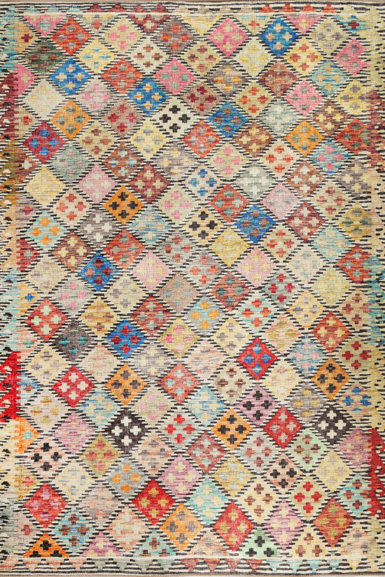 Diamond Vintage Multi Washable Rug - VITAL 2643-00