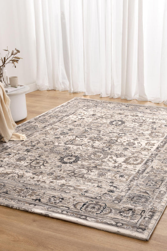 Atina Distressed Transitional Beige Grey Rug - AT05