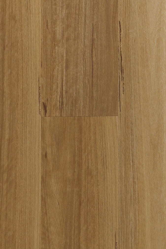 COSTAL BLACKBUTT