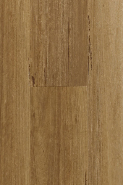 COSTAL BLACKBUTT