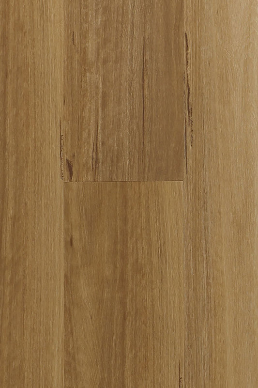COSTAL BLACKBUTT