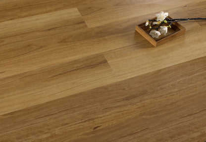 COSTAL BLACKBUTT