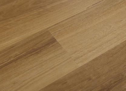 COSTAL BLACKBUTT