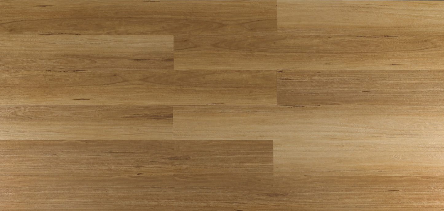 COSTAL BLACKBUTT