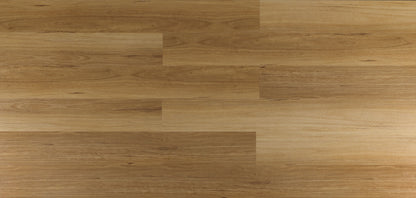 COSTAL BLACKBUTT
