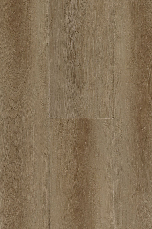 KOTO OAK
