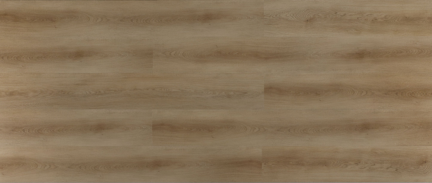 KOTO OAK