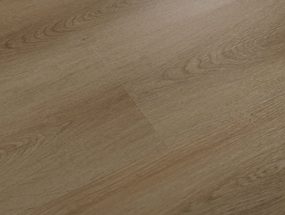 KOTO OAK