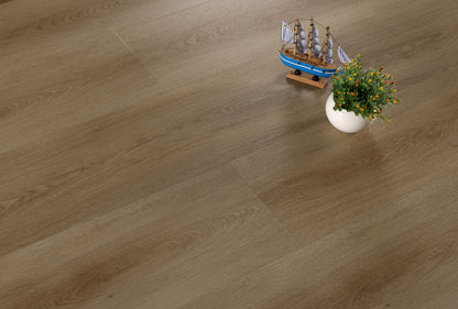 KOTO OAK