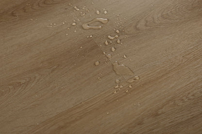 KOTO OAK