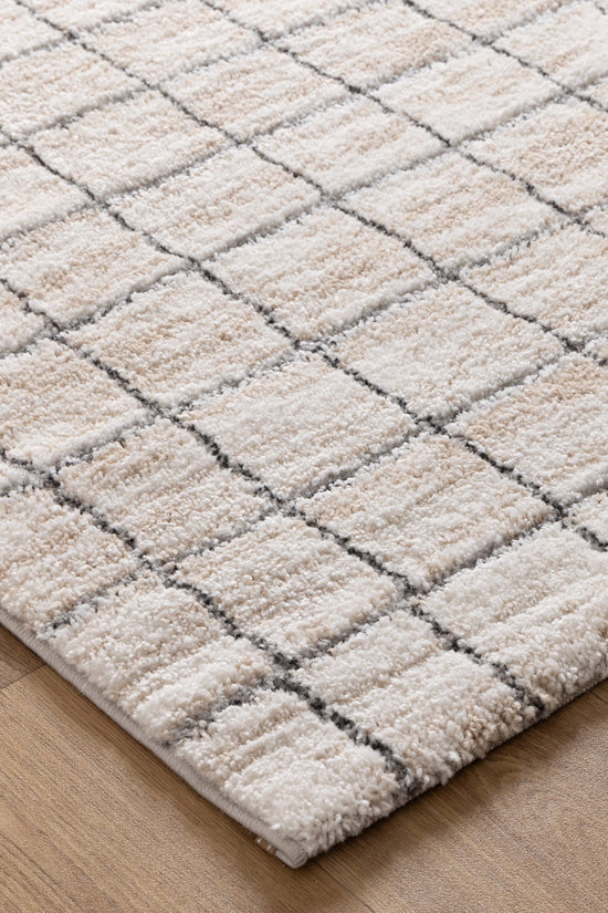 Nola Clean Lines Neutral Rug - N004
