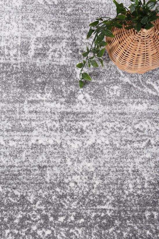 Provence Avignon Grey Traditional Rug - PROV15